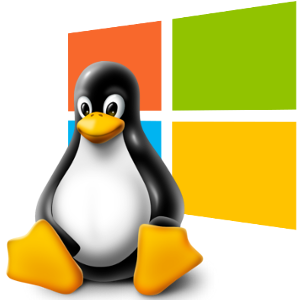 linux windows logos for virtual server hosting