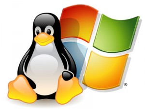 linux and windows OS virutal private hosting