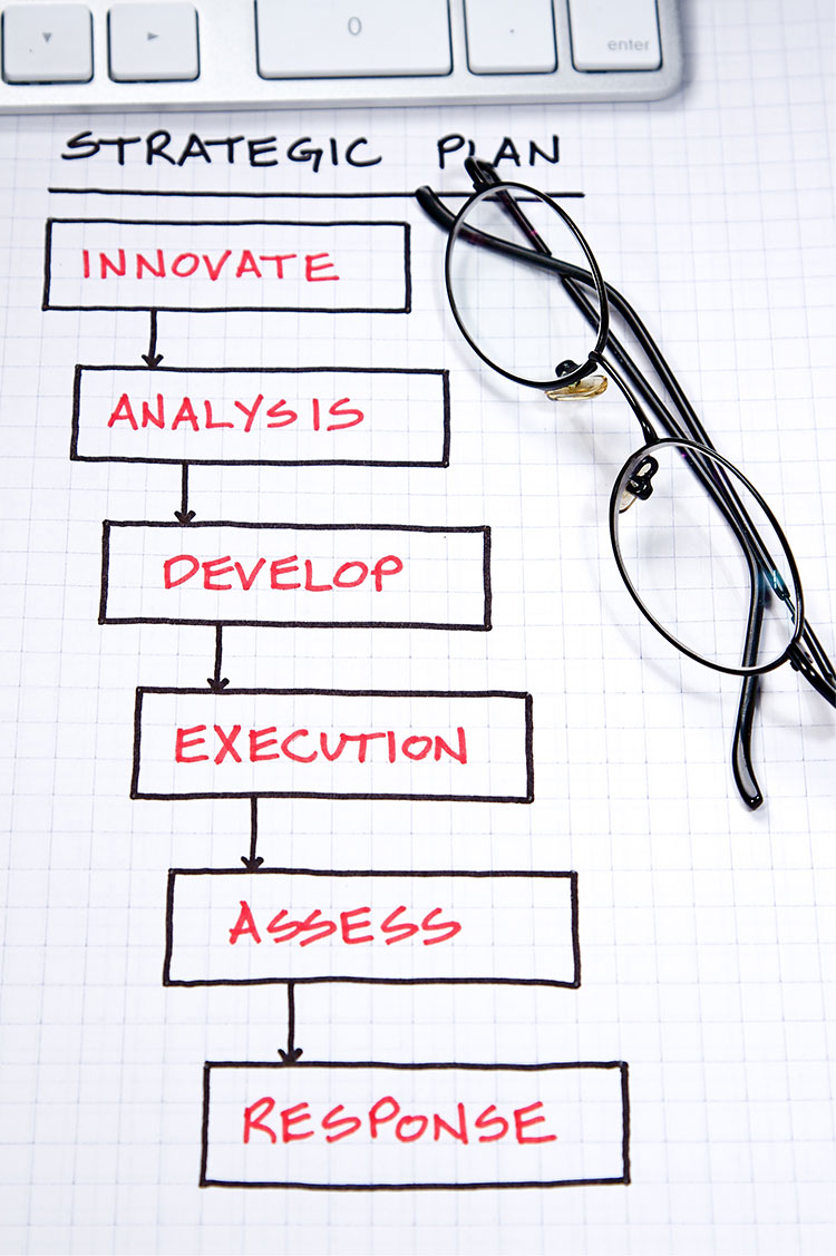 Strategic Plan for Software and Web development