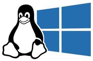 linux_windows_OS-logo